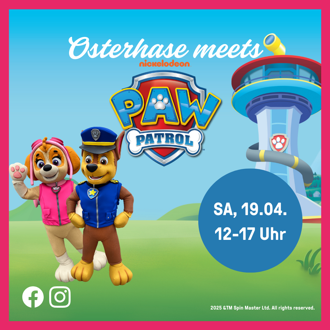 Paw Patrol 2025 1080x1080px